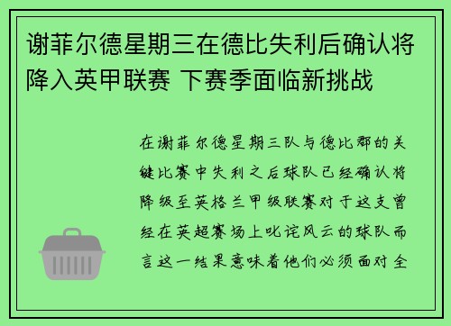 谢菲尔德星期三在德比失利后确认将降入英甲联赛 下赛季面临新挑战